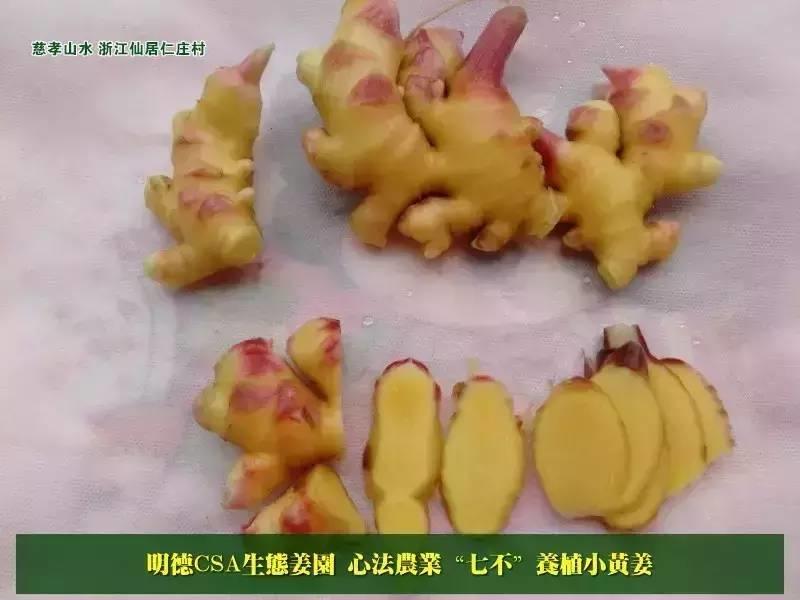 喝姜湯會造成濕疹嗎?我該如何正確應用內熱源?姜有沒有治病的功能?-七不姜 生姜養生網-明德CSA生態姜園&明安農業