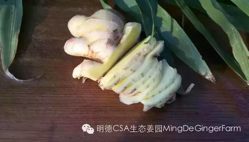 2015年CSA會員“七不”生態小黃姜預售訂購。僅五十畝-七不姜 生姜養生網-明德CSA生態姜園&明安農業