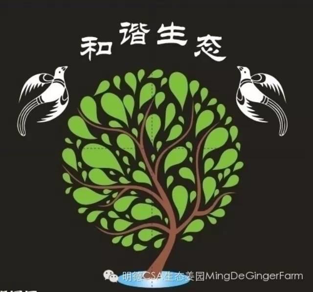 做農業必懂的19個創意流行概念-七不姜 生姜養生網-明德CSA生態姜園&明安農業