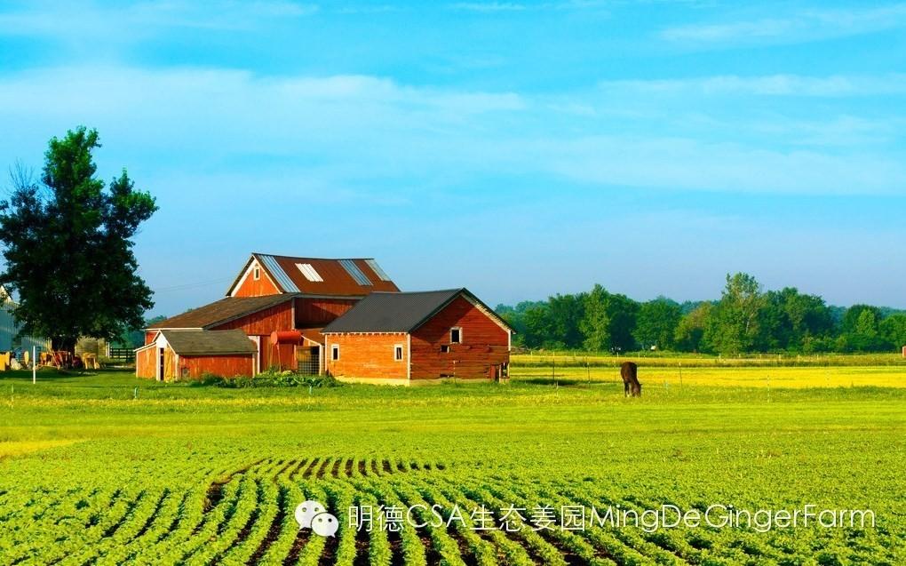 北京農場物語：10個當紅農場有機有愛有溫度-七不姜 生姜養生網-明德CSA生態姜園&明安農業