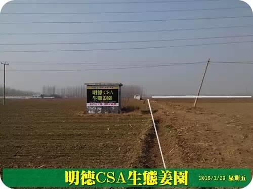 東方圣城 首善之地 至善小黃姜 4月開種活動預報