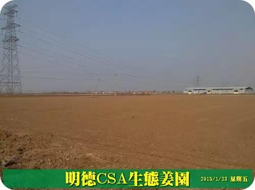 東方圣城 首善之地 至善小黃姜 4月開種活動預報