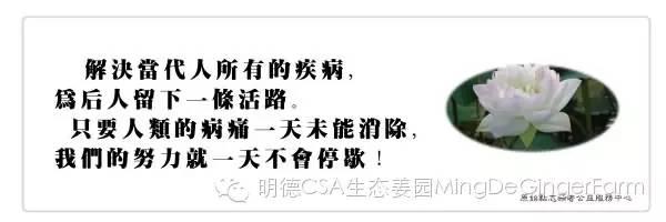 透明溯源CSA及PGS姜園發起股東及創業團隊