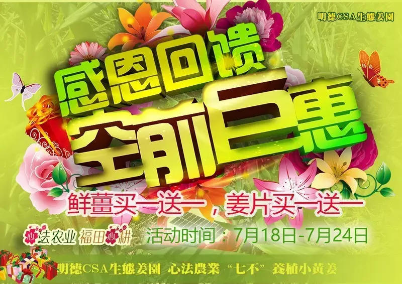 年中大暑 買一送一-七不姜 生姜養生網-明德CSA生態姜園&明安農業