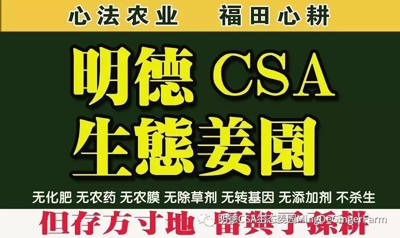 《一個干凈的地球》 《一個干凈的地球》