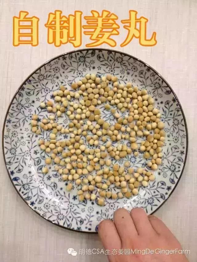 懶人自制姜丸記-附姜丸制作方法-七不姜 生姜養生網-明德CSA生態姜園&明安農業