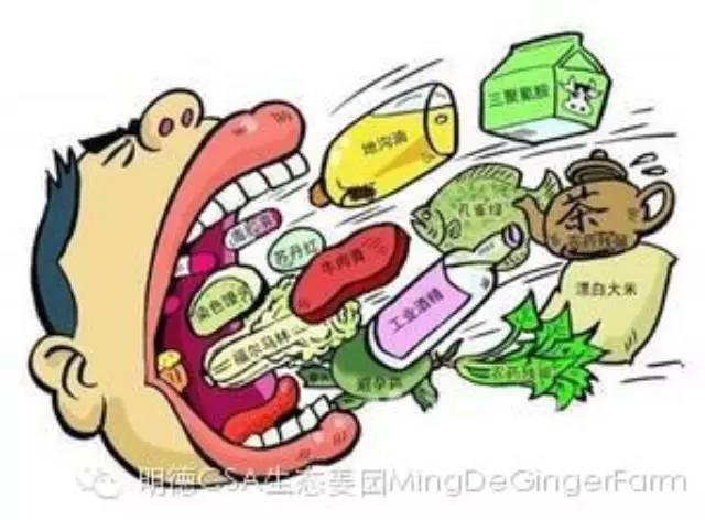 化肥農藥激素的世界-大型系列公益紀錄片-七不姜 生姜養生網-明德CSA生態姜園&明安農業