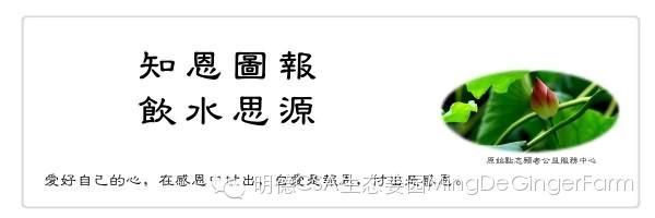 CSA會員鮮姜認購勞動份額&配送份額（1月份）