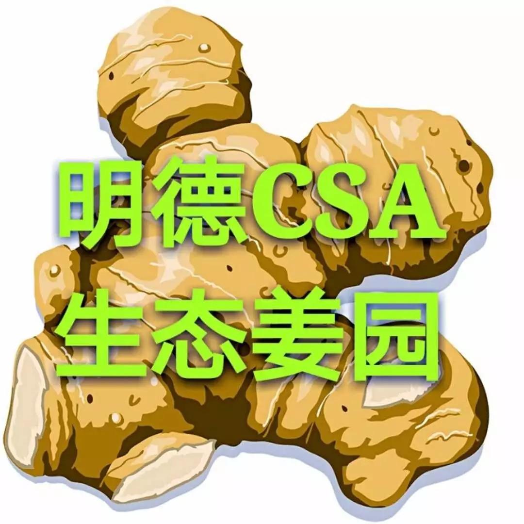 退休軍醫膝蓋疼秘方首次公開，幾片生姜走路虎虎生風-七不姜 生姜養生網-明德CSA生態姜園&明安農業