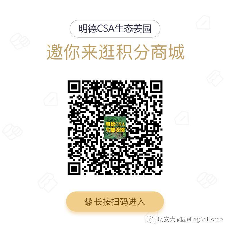 精美磨姜茶勺 積分可兌換的禮品哦 快來看看你有多少積分？