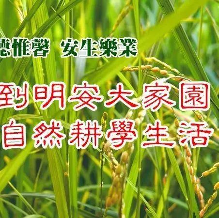 明德生態姜園參觀學習申請【參觀訪問學習申請】 -浙江仙居仁莊村-七不姜 生姜養生網-明德CSA生態姜園&明安農業