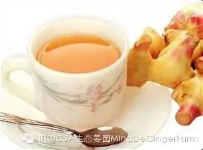 《原始點健康手冊》姜的應用- 2015年10月版