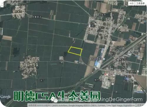 明德CSA生態姜園 姜東土地份額(勞動份額及配送份額)溝壟選購圖集 明德CSA生態姜園 姜東土地份額(勞動份額及配送份額)溝壟選購圖集