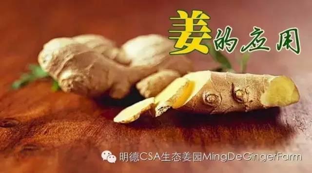 生姜發綠、長芽還能吃嗎？-七不姜 生姜養生網-明德CSA生態姜園&明安農業