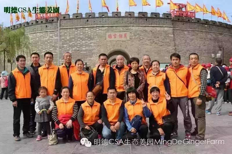 尋找姜園合伙人股東，一起建設原始點特供小黃姜生態姜園-七不姜 生姜養生網-明德CSA生態姜園&明安農業