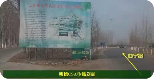 東方圣城 首善之地 至善小黃姜 4月開種活動預報