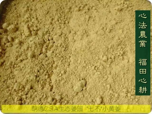 原始點醫療保健中 姜的應用2018.8 V13
