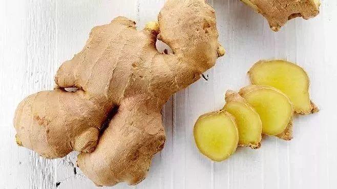 生姜不用買，一次性飯盒種出來，5年都吃不完！-七不姜 生姜養生網-明德CSA生態姜園&明安農業