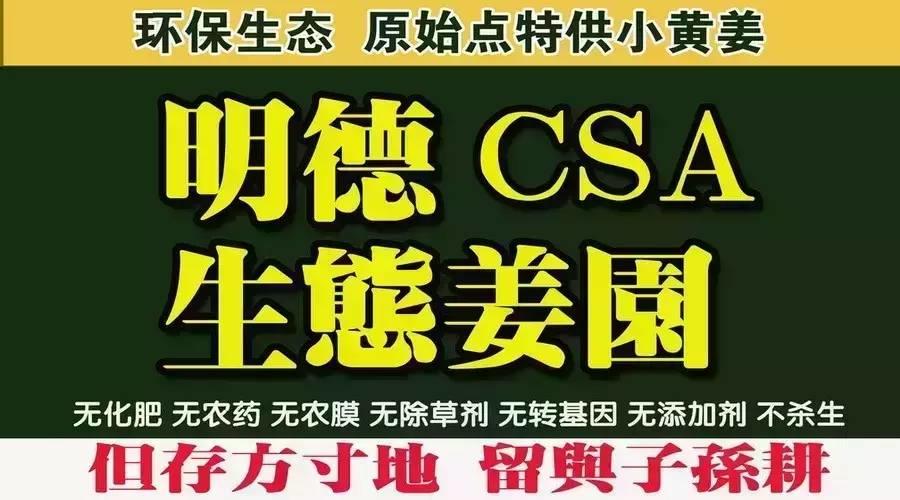 心法農業明德小黃姜 介紹 2016-七不姜 生姜養生網-明德CSA生態姜園&明安農業