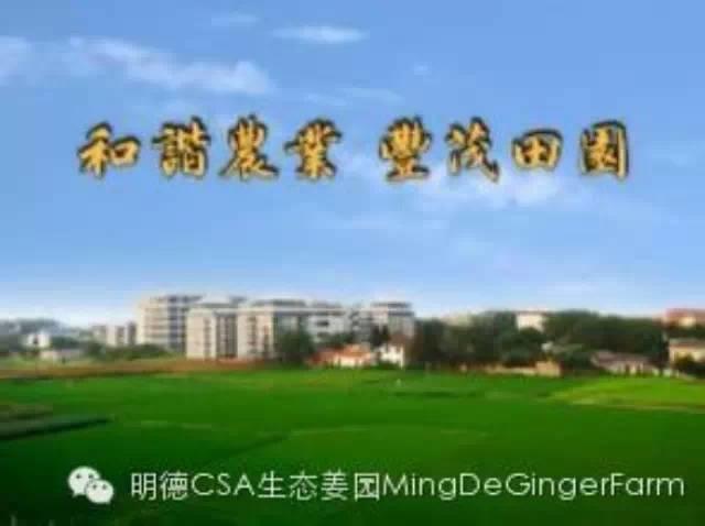 和諧農業，豐茂田園：和諧農業，萬物共生，愛護家園，造福子孫-七不姜 生姜養生網-明德CSA生態姜園&明安農業