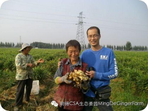 透明溯源CSA及PGS姜園發起股東及創業團隊