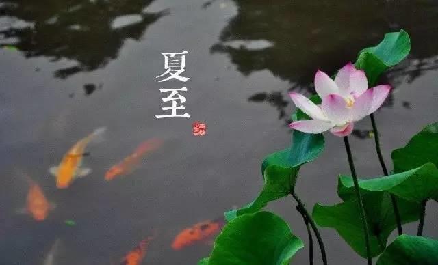 今日夏至 ,也是“一年之虛”,一碗湯教你補救回來！-七不姜 生姜養生網-明德CSA生態姜園&明安農業