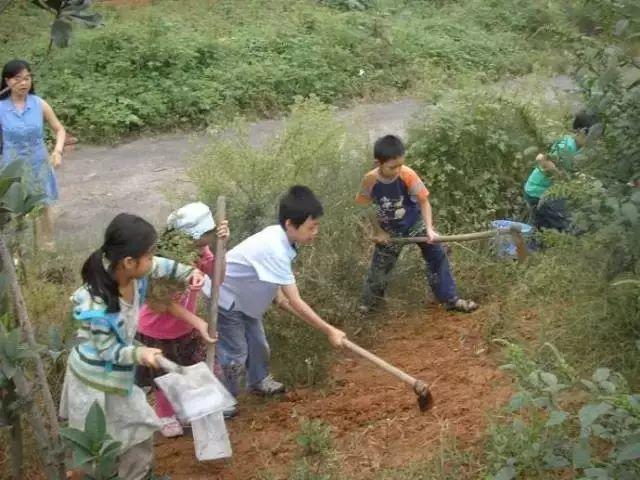 明安綠色生態樂和夏令營 -自然 生態 樂和 健康