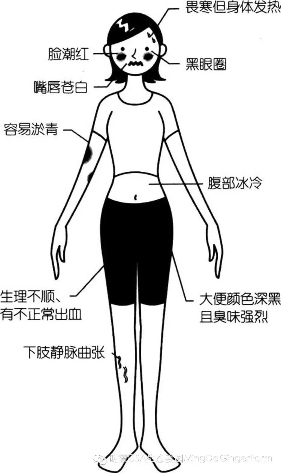 生姜養生法(4)生姜迷人功效大展示，生姜是驅寒食材的首選！-自然醫學養生
