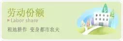 2015年CSA會員“七不”生態小黃姜預售訂購。僅五十畝