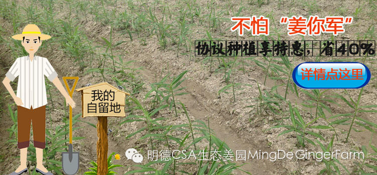 CSA會員鮮姜認購勞動份額&配送份額（1月份）