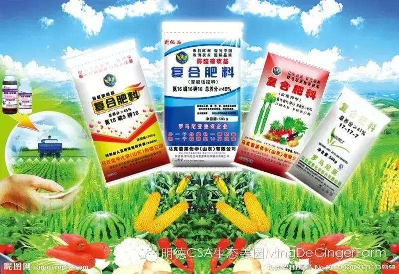 農藥、化肥、激素給人類的環境帶來巨大的危害！-七不姜 生姜養生網-明德CSA生態姜園&明安農業