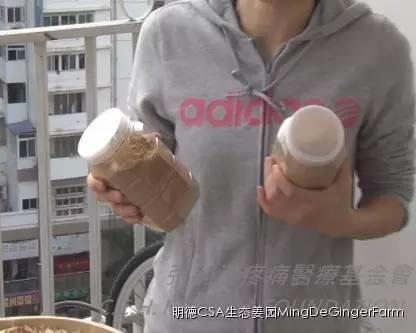 [姜的應用分享] 姜粉制作與使用方法及用姜粉刷牙