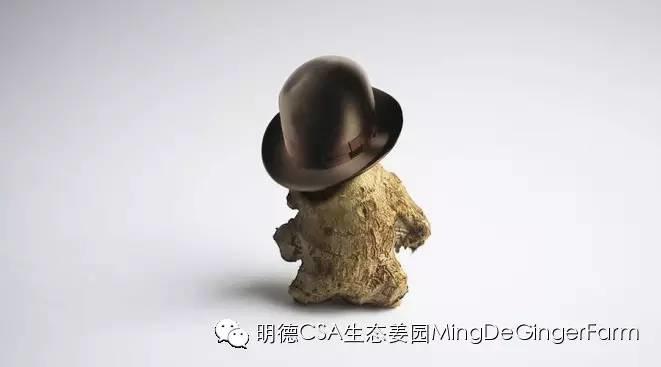 傳統姜文化與名人說 傳統姜文化與名人說