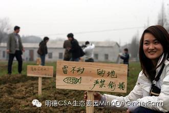 CSA社區支持農業 CSA社區支持農業