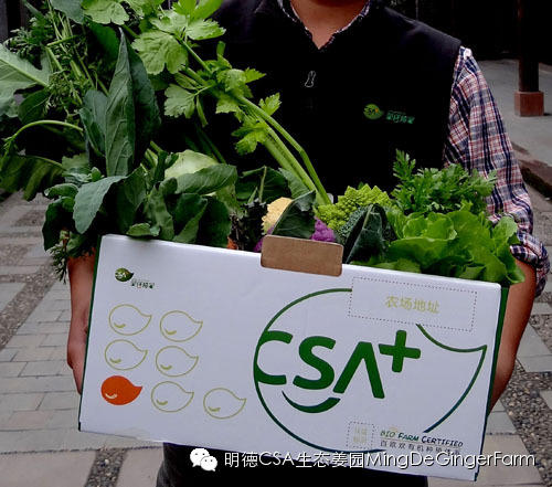 明德生態姜園：CSA+O2O