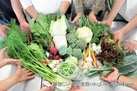 CSA社區支持農業 CSA社區支持農業