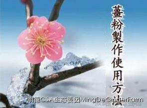 [姜的應用分享] 姜粉制作與使用方法及用姜粉刷牙