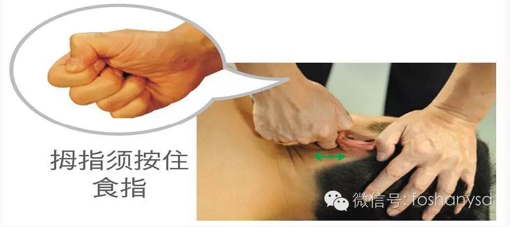 各部位原始點位置及其涵蓋范圍(頭部 頸部)