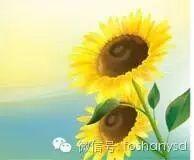 恭賀 | 廣州市番禺原始點傳承愛心公益服務站 將于9月20日開業-七不姜 生姜養生網-明德CSA生態姜園&明安農業