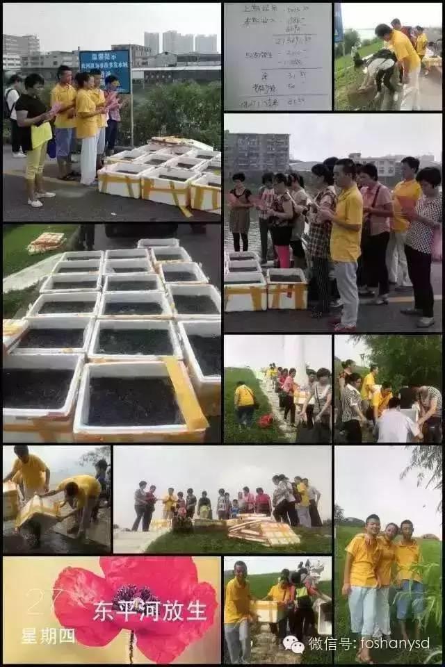 [中元節] 佛山原始點傳承愛心公益中心舉行放生活動-七不姜 生姜養生網-明德CSA生態姜園&明安農業