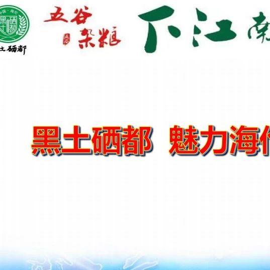 明安心法農業 七不香稻種植地黑土硒都 魅力海倫介紹-七不姜 生姜養生網-明德CSA生態姜園&明安農業