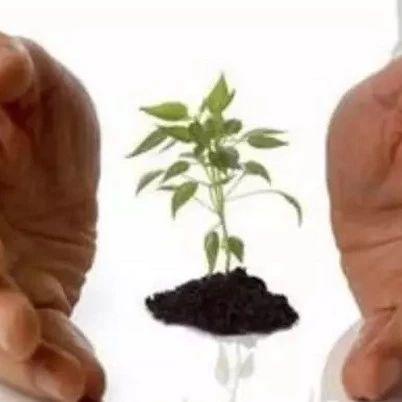 《硒知識》科學補硒，守護我們家人的生命健康-七不姜 生姜養生網-明德CSA生態姜園&明安農業