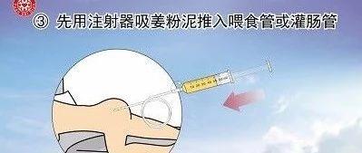 姜粉泥灌腸步驟-七不姜 生姜養生網-明德CSA生態姜園&明安農業