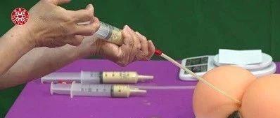 姜粉灌腸步驟-七不姜 生姜養生網-明德CSA生態姜園&明安農業