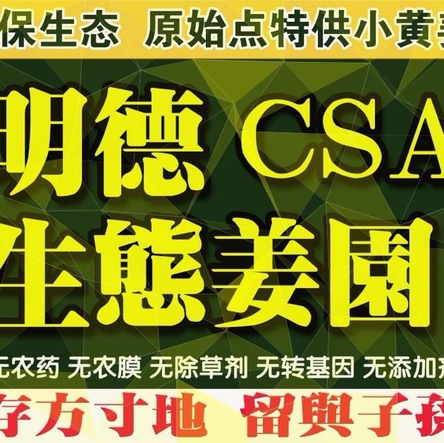 七不姜 秋季 優惠禮卷-七不姜 生姜養生網-明德CSA生態姜園&明安農業