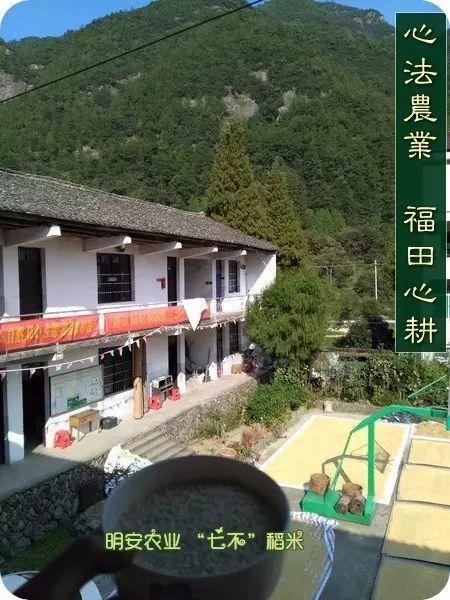 專家：小心米飯中的砒霜 改變烹調方法