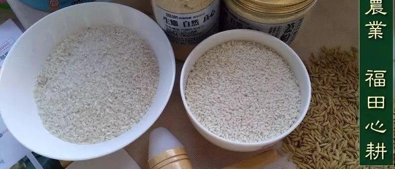 專家：小心米飯中的砒霜 改變烹調方法-七不姜 生姜養生網-明德CSA生態姜園&明安農業