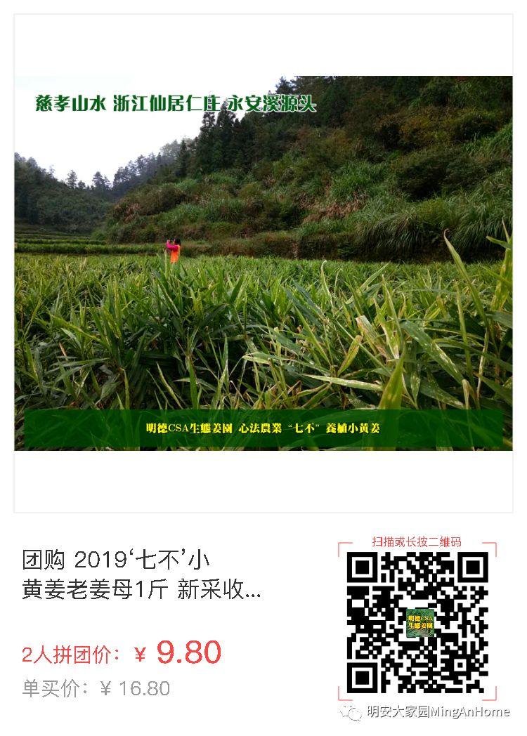 閨蜜女子 三八節團購‘七不’小黃姜老姜母1斤