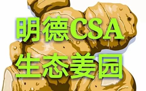 寒邪都來了!喝一碗正氣姜湯 奉一炷恭敬清香。清明與姜,誰也離不了誰-七不姜 生姜養生網-明德CSA生態姜園&明安農業