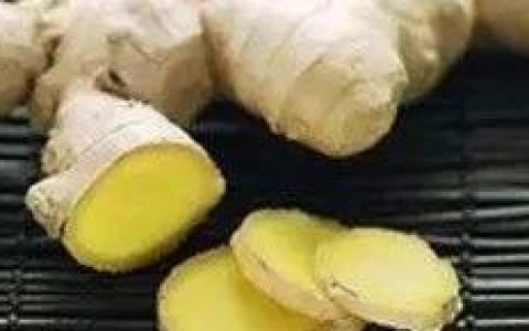 原始點小黃姜的應用 第16版  2020.2(首發)-七不姜 生姜養生網-明德CSA生態姜園&明安農業